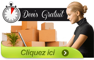 devis-déménagement-gratuit